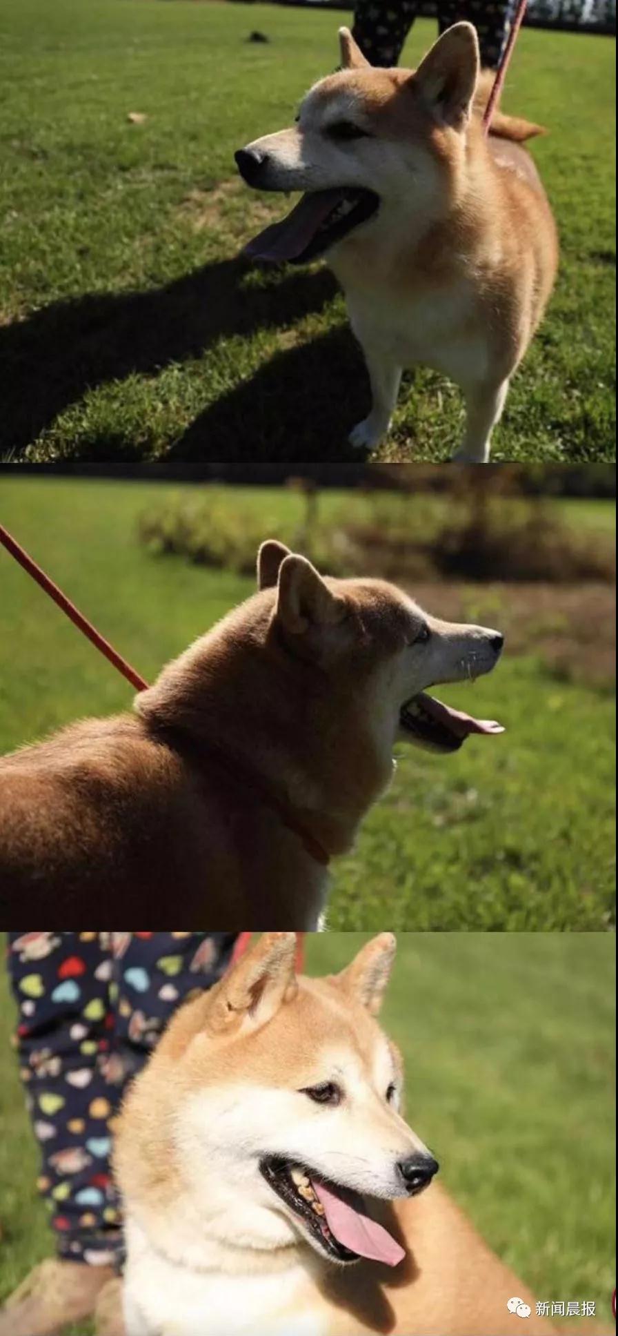 ̹ȵ-˾ʷϵһֻĹ